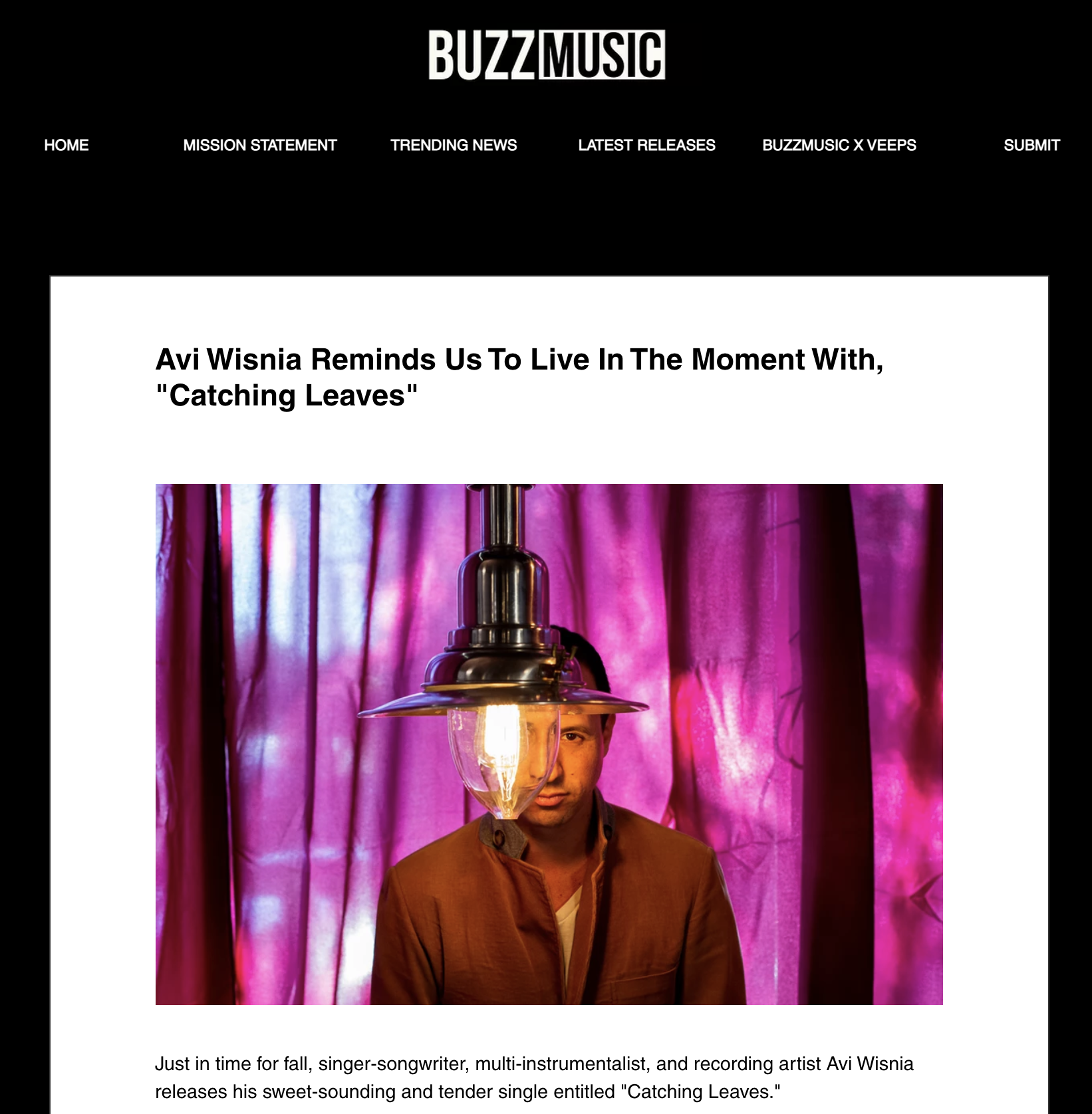 Buzz Music Feature Interview with Avi Wisnia Catching Leaves